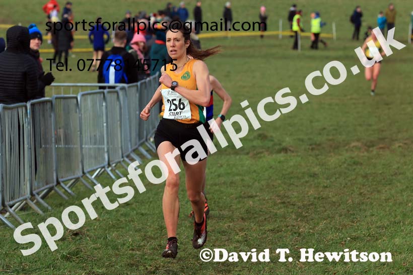 Senior Womens 2024 Northern Cross Country Champs., Sedgefield. Photo: David T. Hewitson/Sports for All Pics